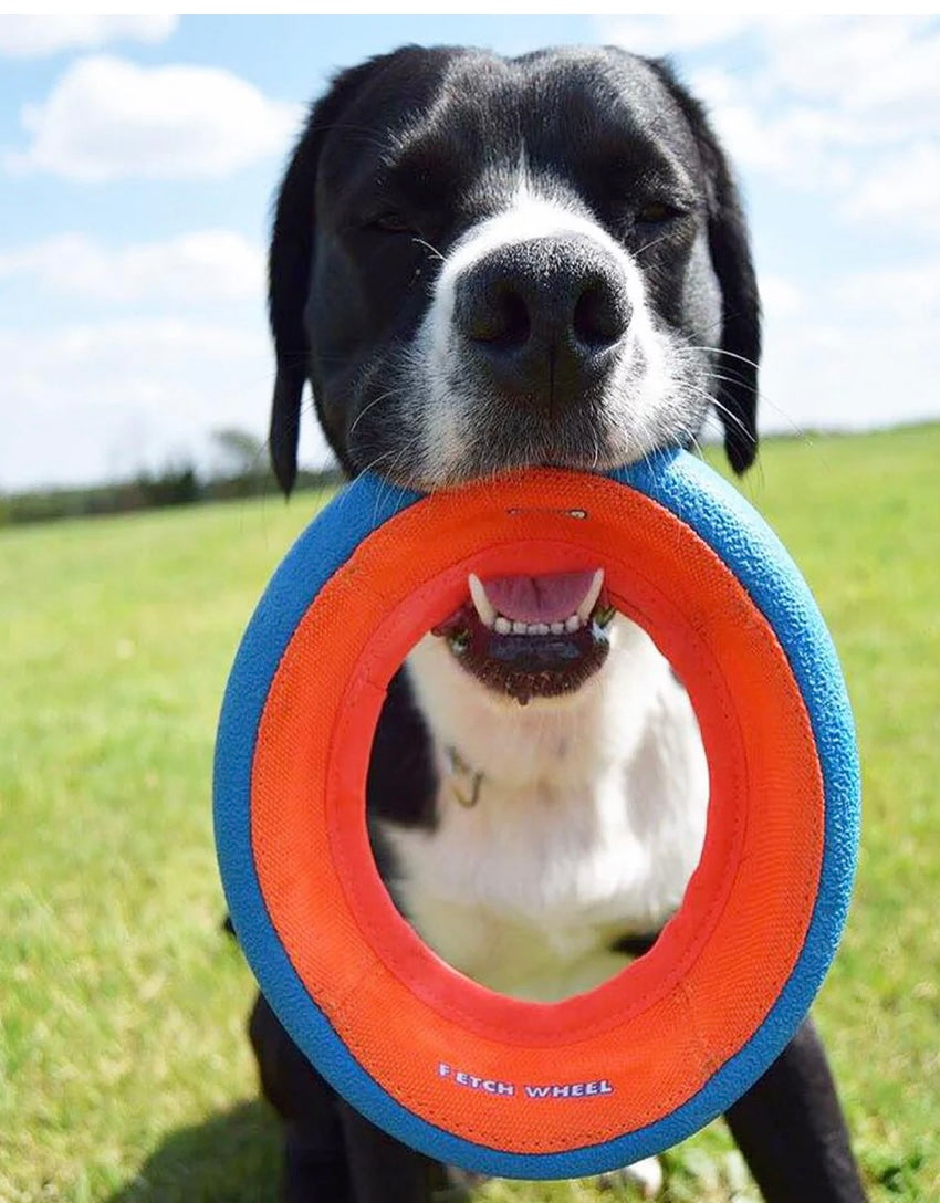 Chuckit Fetch Wheel