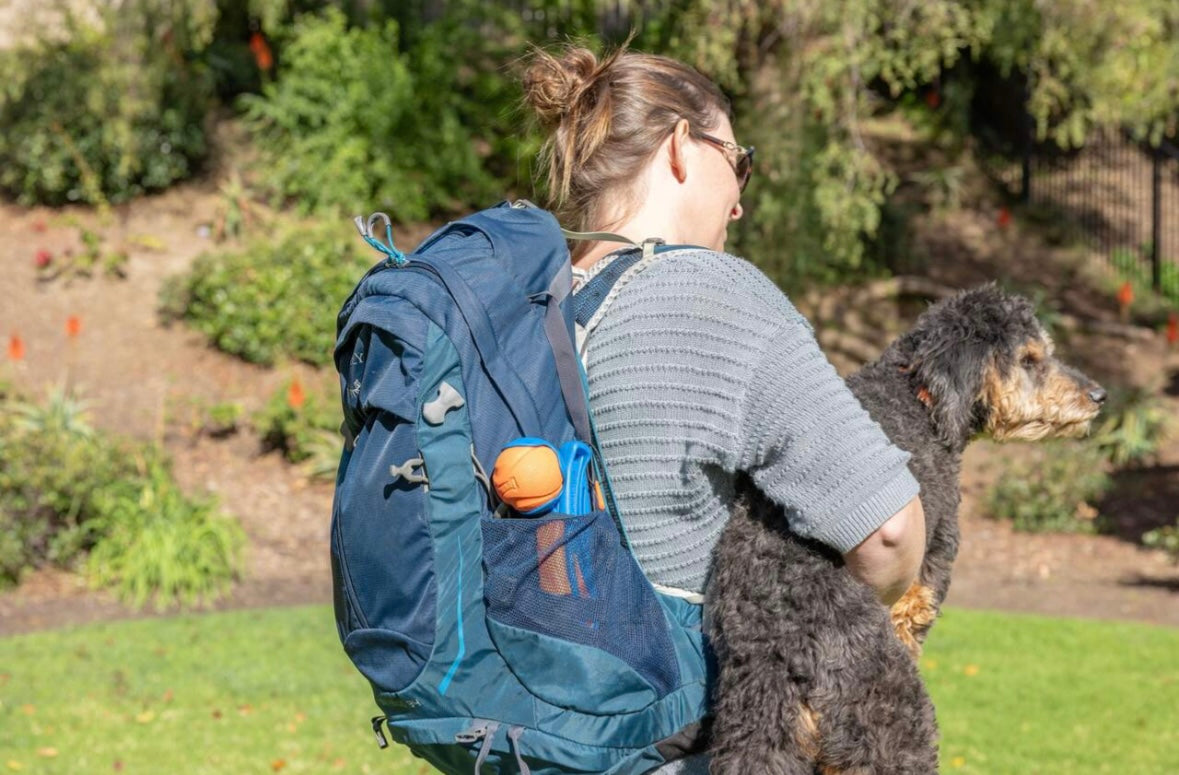 Chuckit! Fetch & Fold Launcher