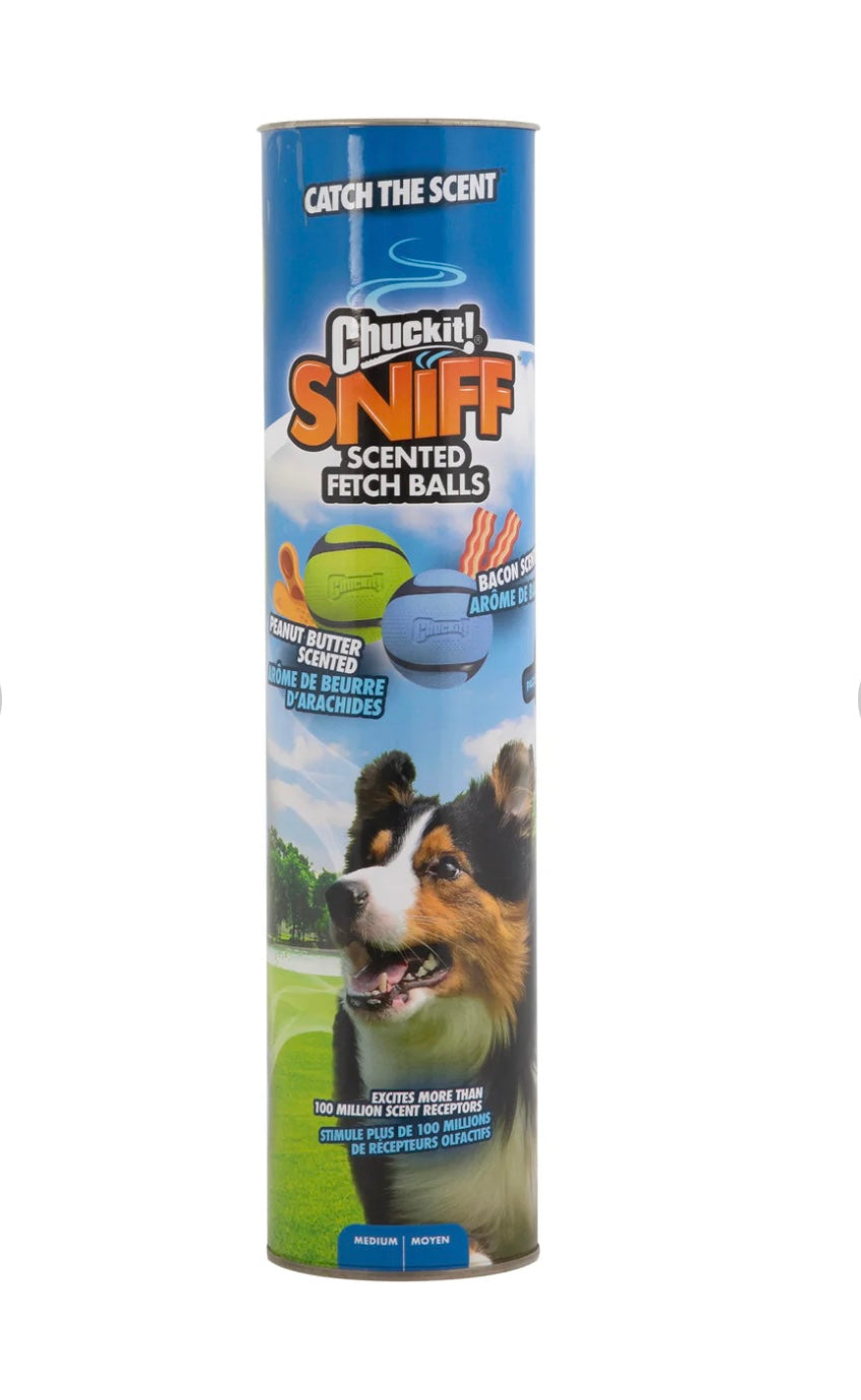 ChuckIt Sniff Fetch Balls - M Canister 4pk