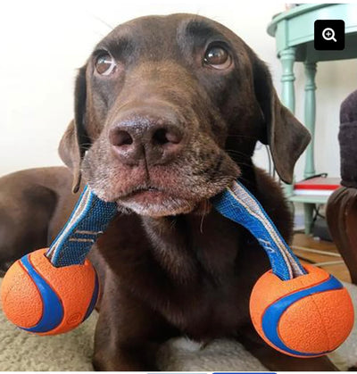 ChuckIt Ultra Duo Tug - Small