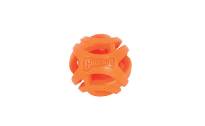 ChuckIt Air Fetch Ball