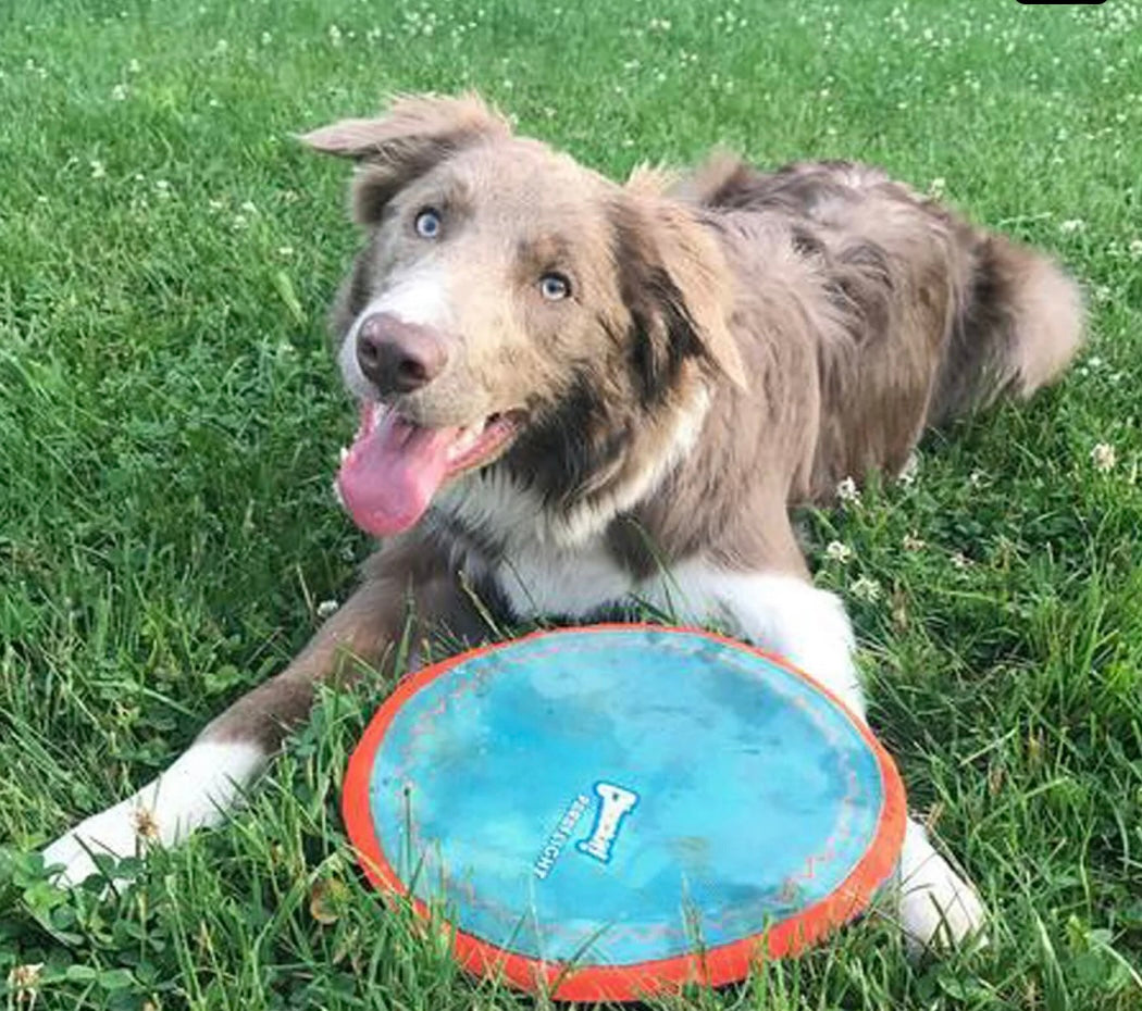 Chuckit Paraflight - Large 00190