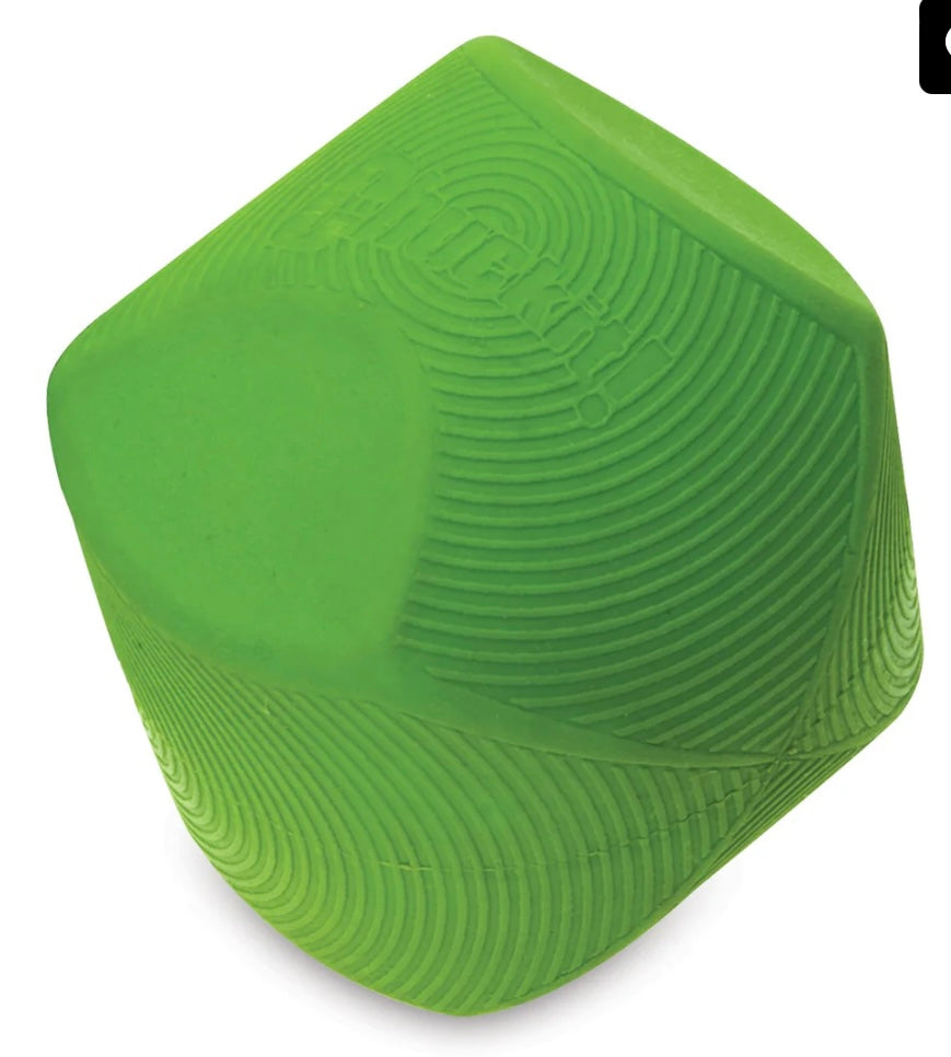 ChuckIt Erratic Ball