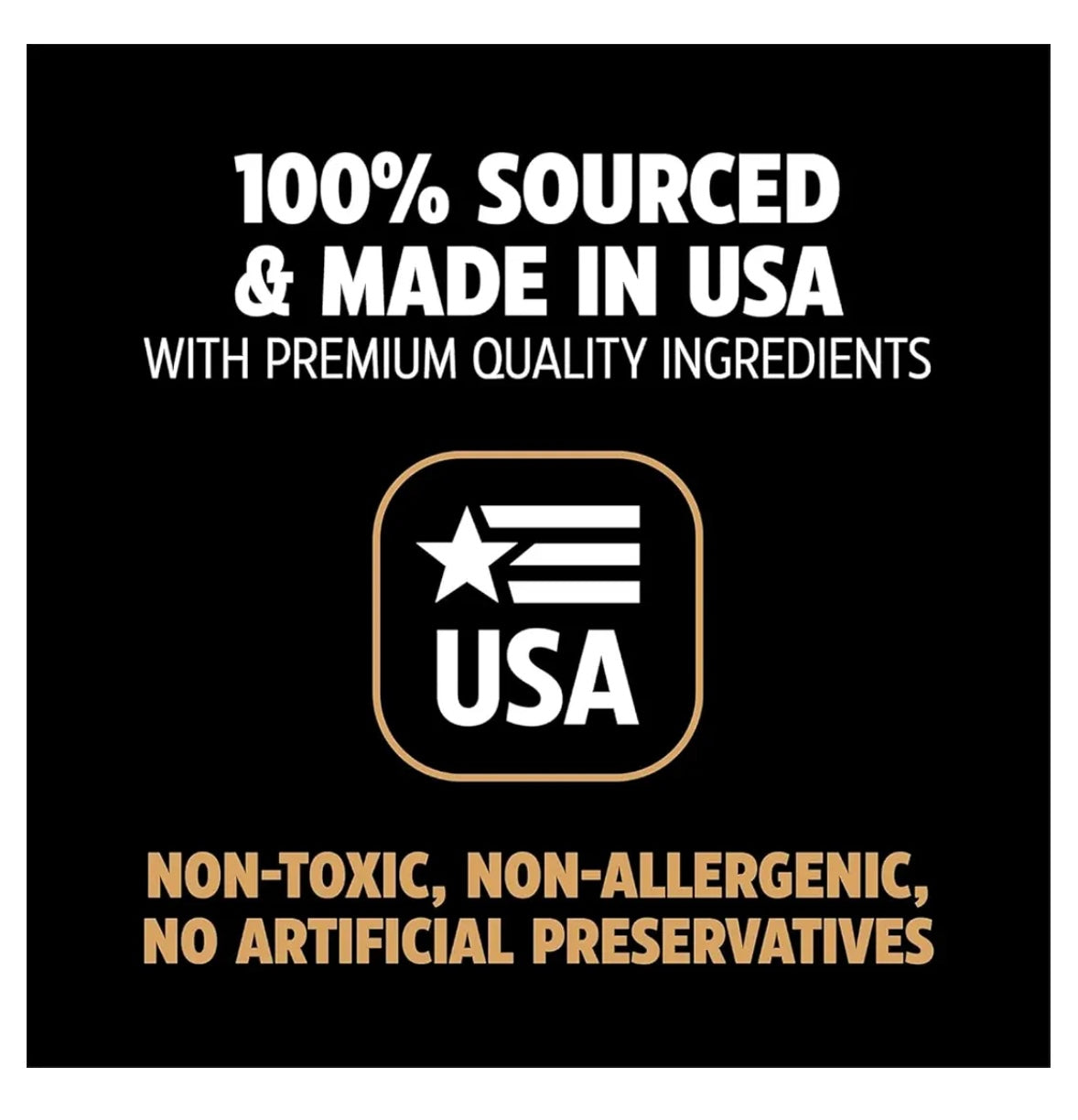 BarkBone Natural Instincts Zombie Bacon-Infused Nylon Dog Chew