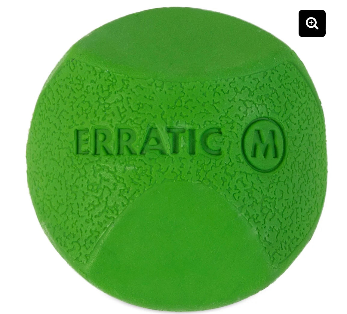 ChuckIt Erratic Ball