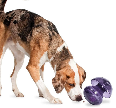 Bust Buddy Magic Mushroom, MED/LG