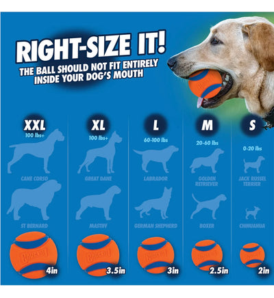 ChuckIt Ultra Ball 2PK