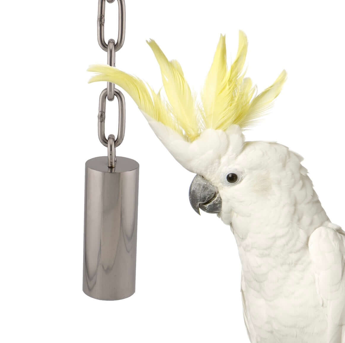 Stainless Steel Tube Bell