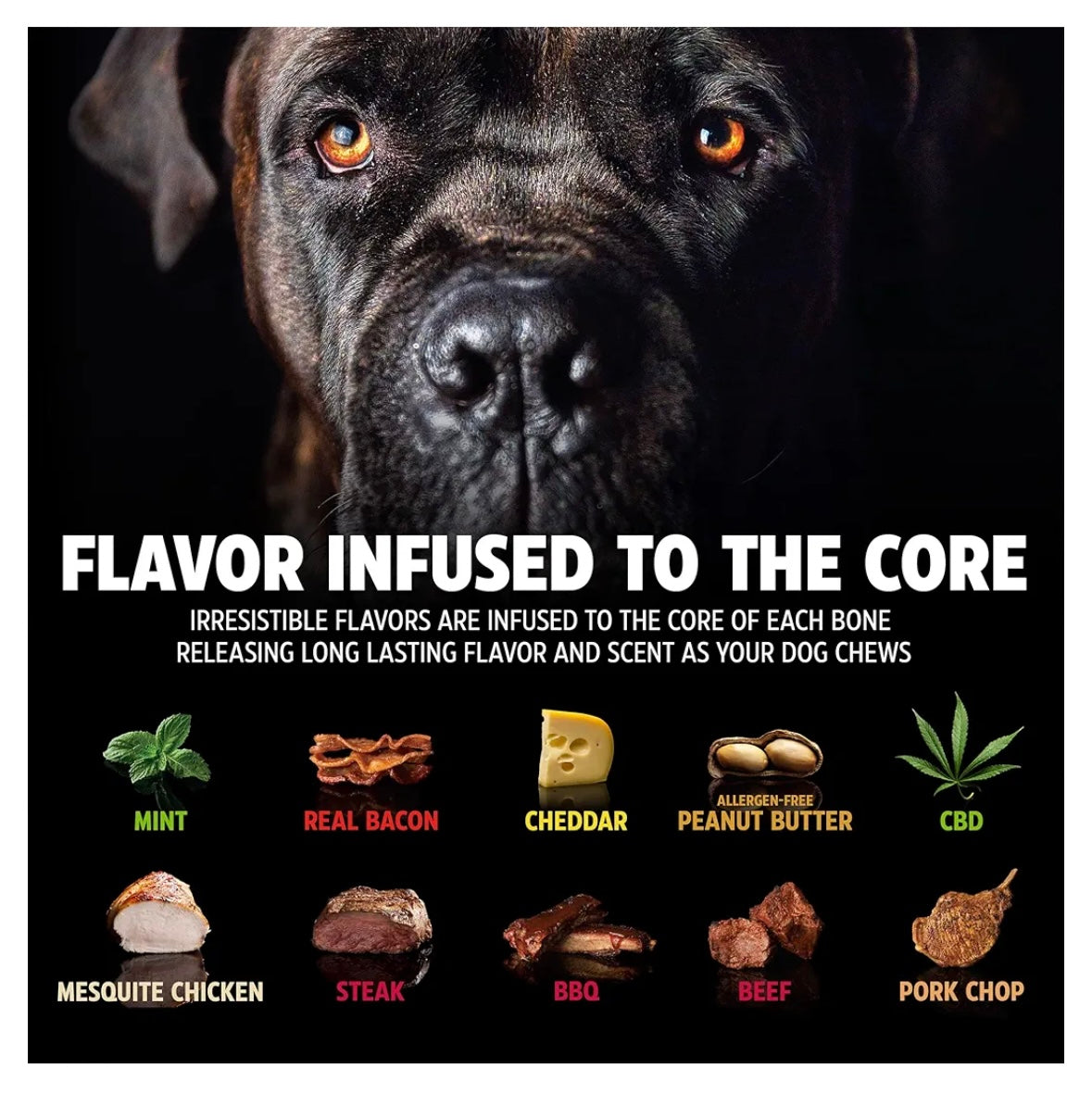 BarkBone Natural Instincts Zombie Bacon-Infused Nylon Dog Chew