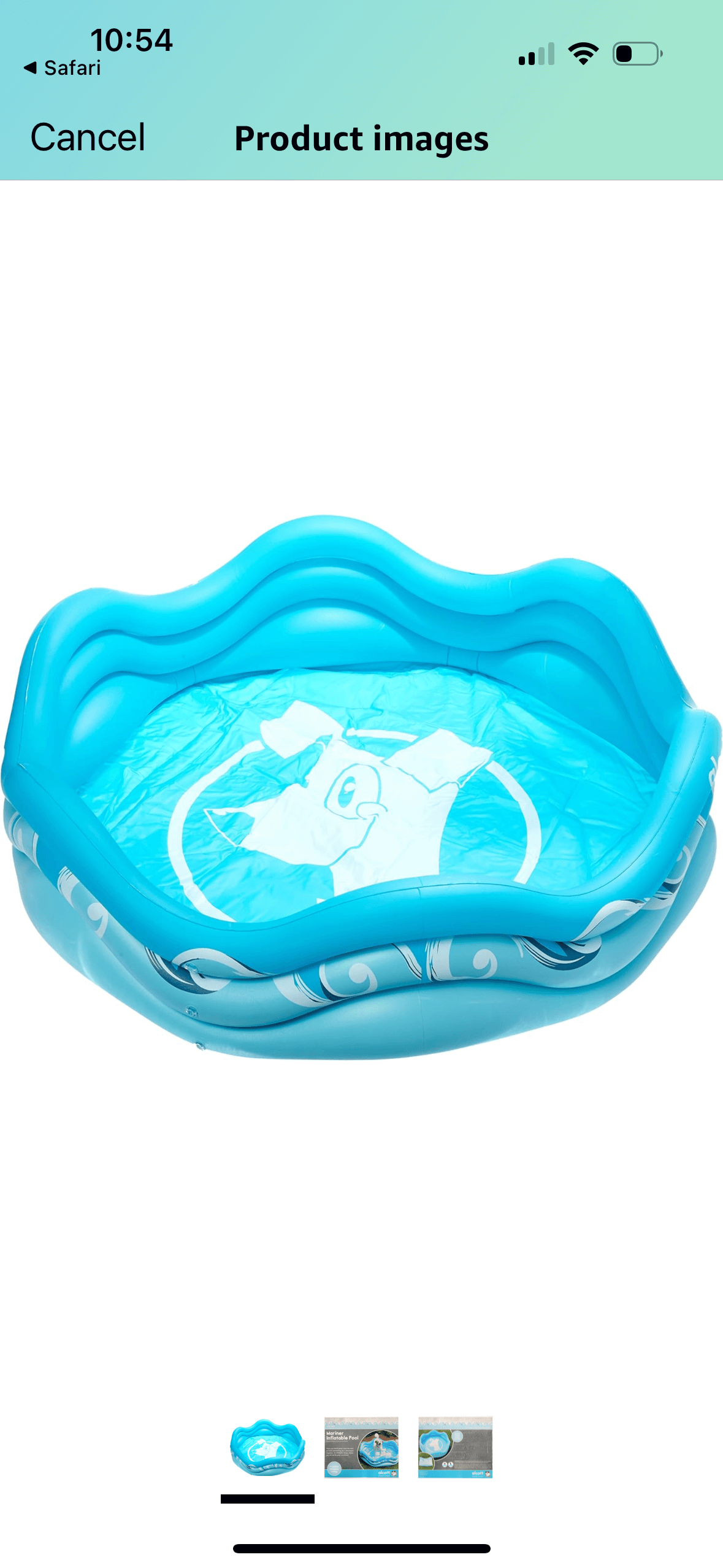 Inflatable Dog Pool