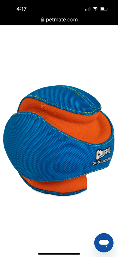 ChuckIt Giggle Kick Fetch