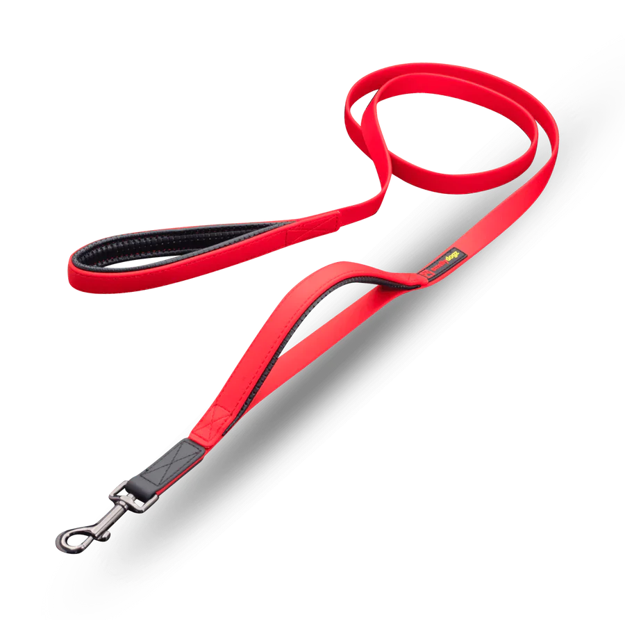 SMELLY DOGZ DOUBLE HANDLE LEAD (one size)