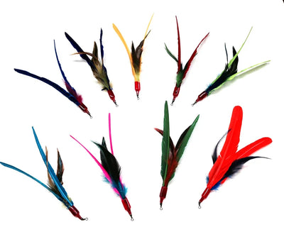 GO CAT DA BIRD REFILL