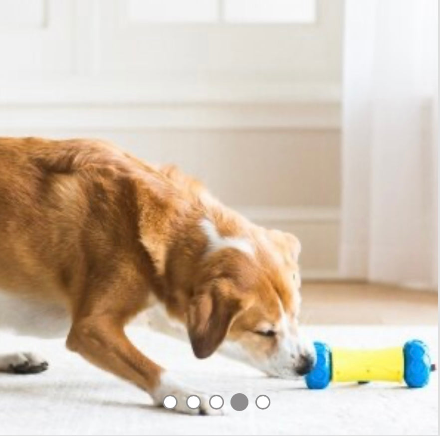 ROBO BONE - ELECTRONIC TREAT DISPENSER