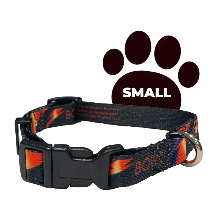 David Bowie Dog Collar