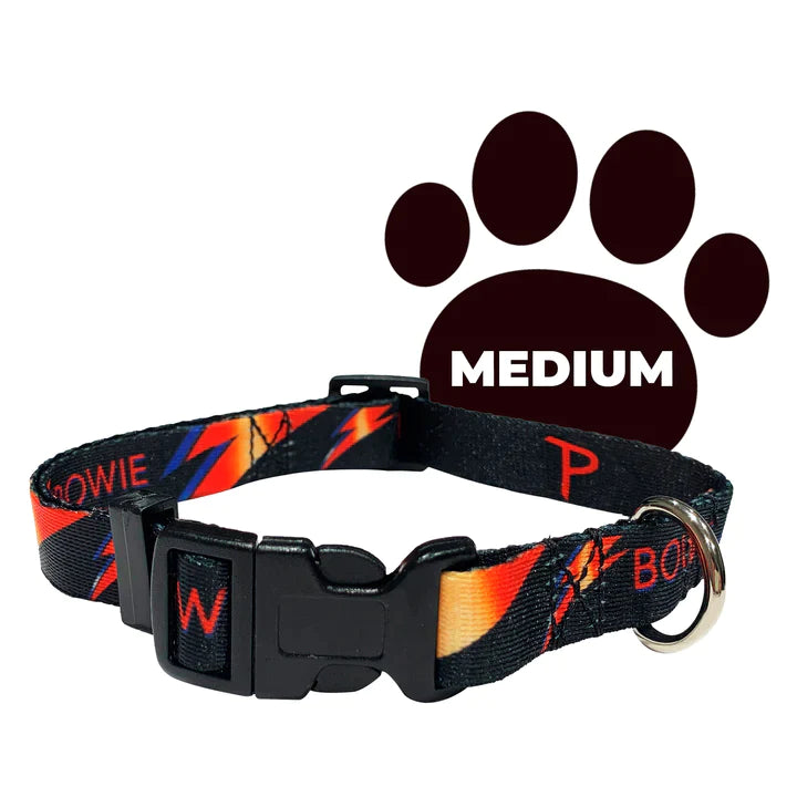 David Bowie Dog Collar