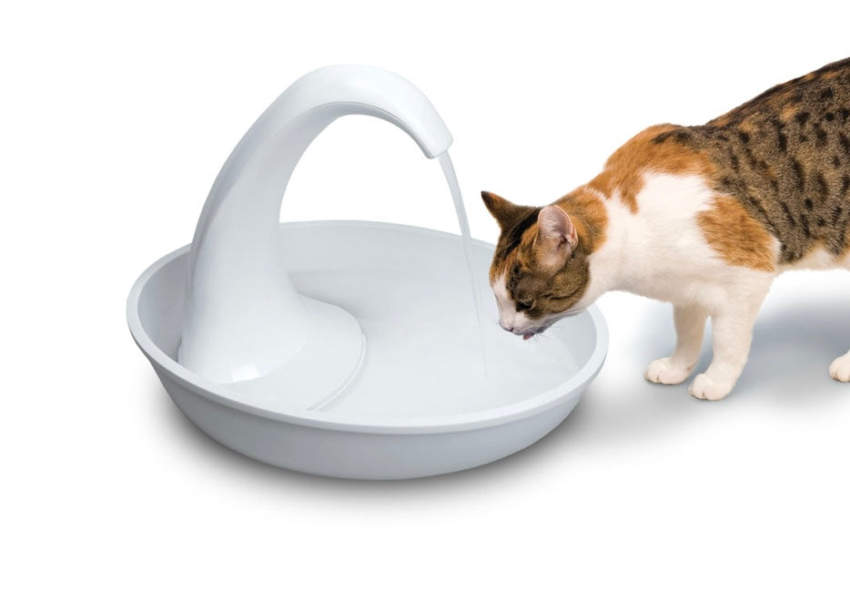 SWAN PLASTIC FOUNTAIN (80OZ)