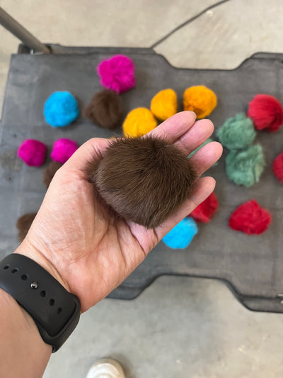 Go Cat Bat Arounds - Multicolor (12 pk)