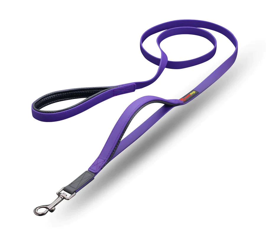 SMELLY DOGZ DOUBLE HANDLE LEAD (one size)