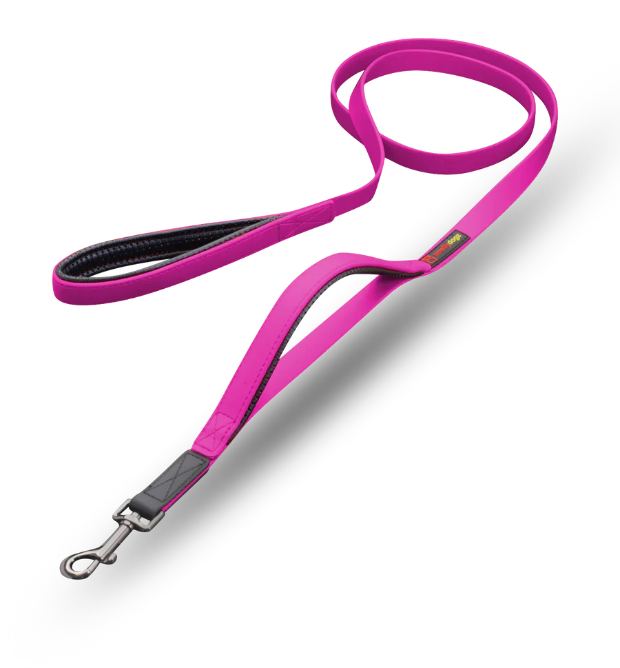 SMELLY DOGZ DOUBLE HANDLE LEAD (one size)