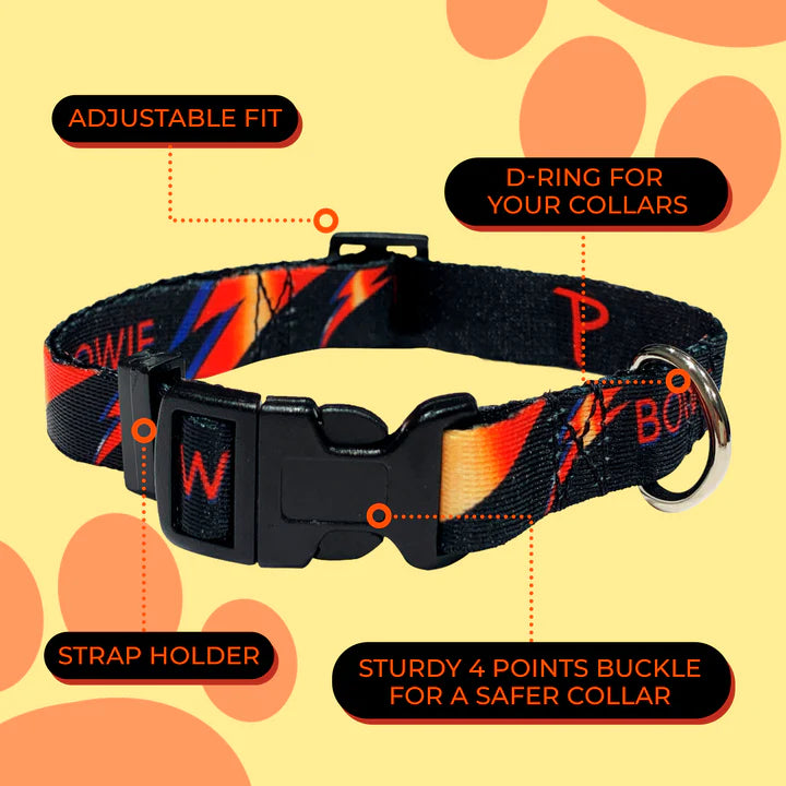 Davie Bowie Dog Collar