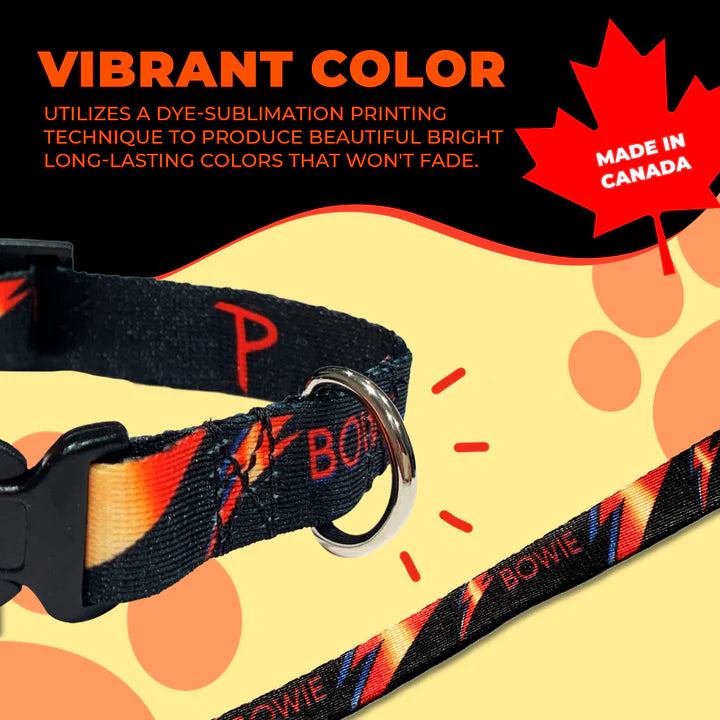 Davie Bowie Dog Collar