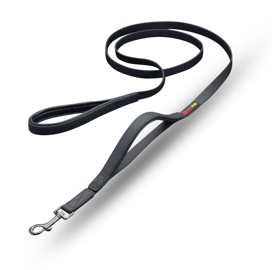 SMELLY DOGZ DOUBLE HANDLE LEAD (one size)