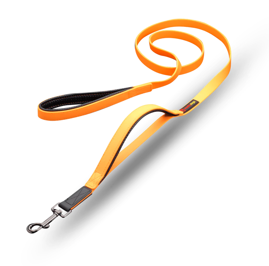 SMELLY DOGZ DOUBLE HANDLE LEAD