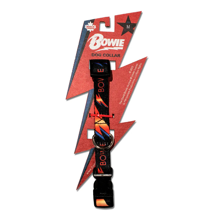 Davie Bowie Dog Collar