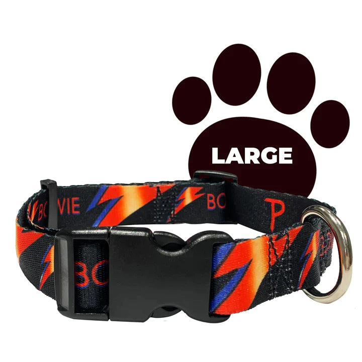 David Bowie Dog Collar