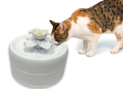 MAGNOLIA FOUNTAIN 55OZ