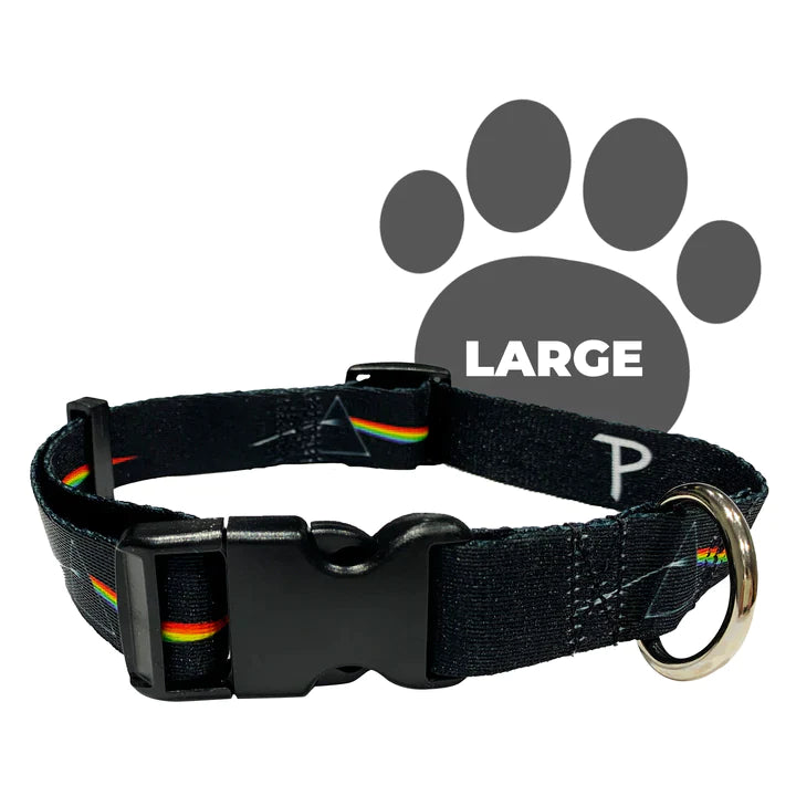 Pink Floyd Dog Collar
