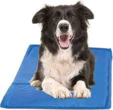 COOL PET PAD LARGE  46-80LBS