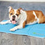 COOL PET PAD MEDIUM  21-45LBS