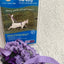 COME WITH ME KITTY -  SMALL LAVENDER