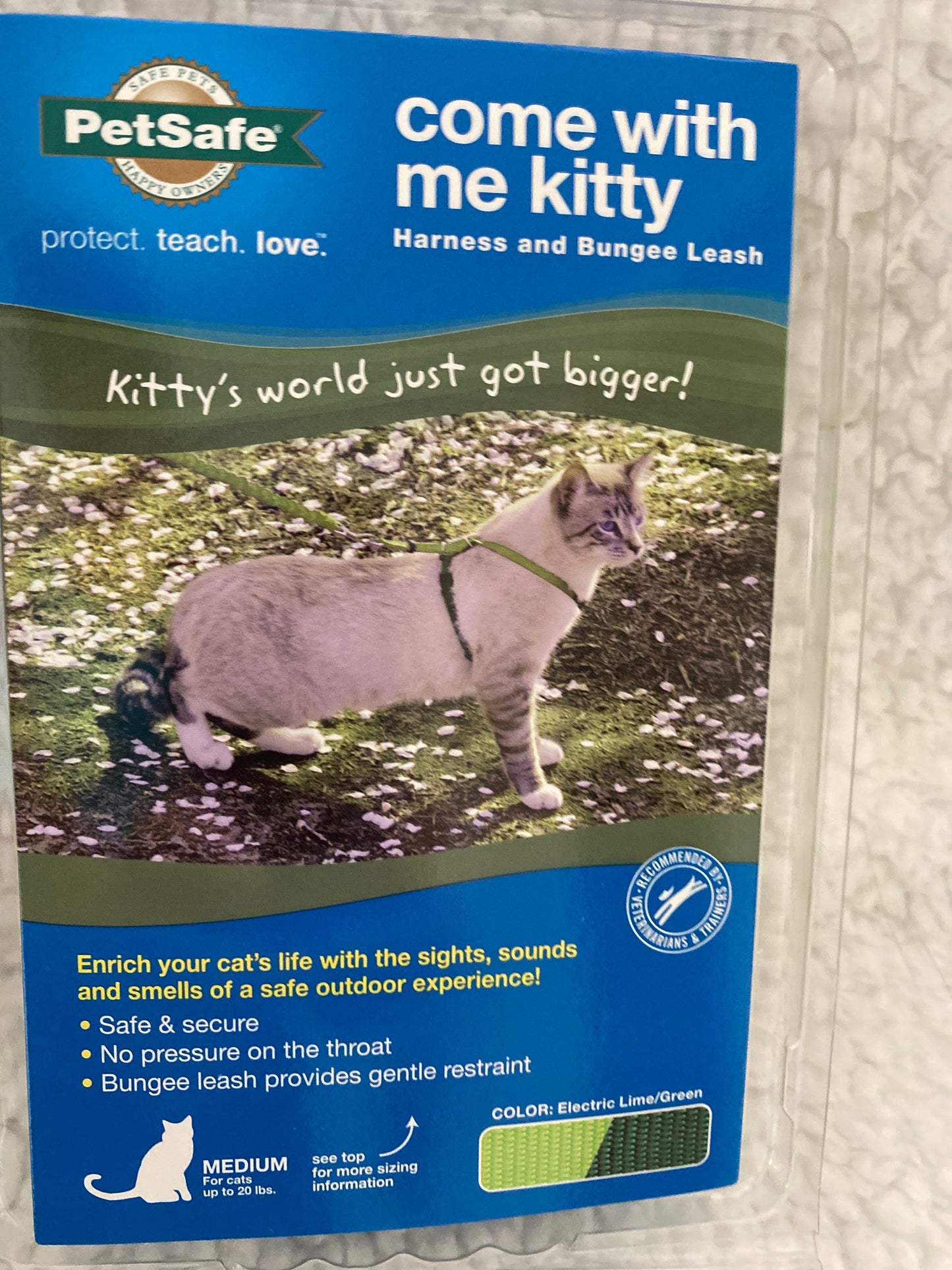 COME WITH ME KITTY - MED ELM