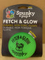 FETCH & GLOW BALL "JR"