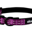 ALCOTT ADVENTURE COLLAR