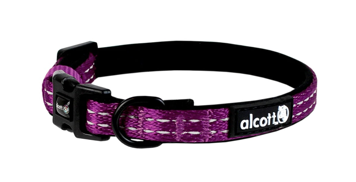 ALCOTT ADVENTURE COLLAR