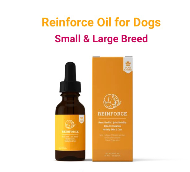 REELAX PET SCIENCES OILS (Reinforce)