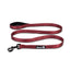 ALCOTT ADVENTURE LEASH