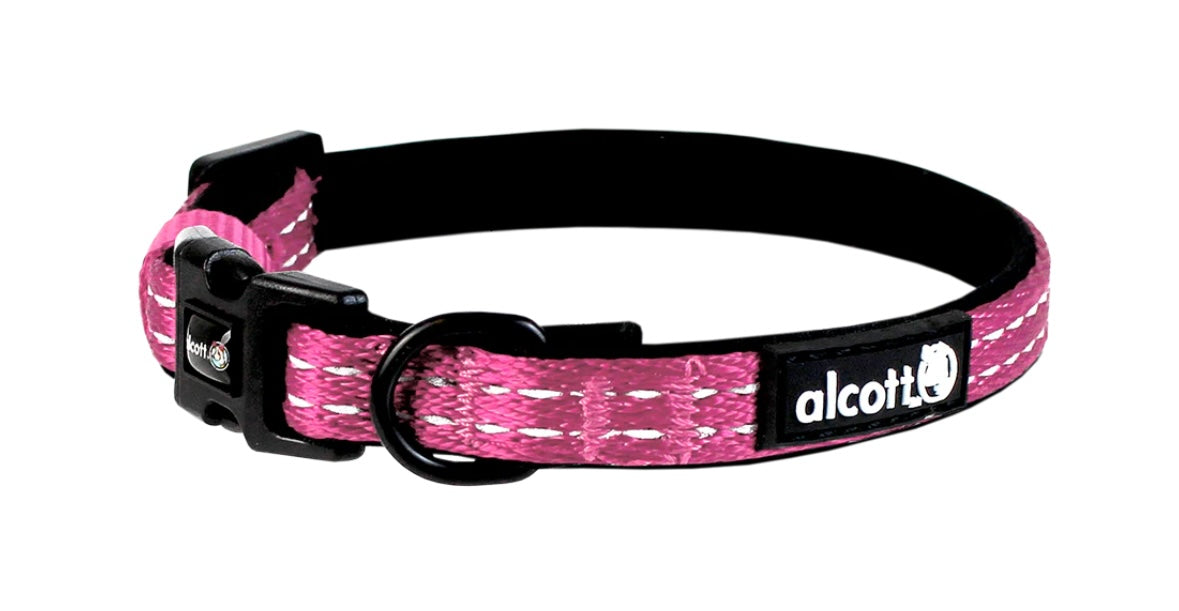 ALCOTT ADVENTURE COLLAR