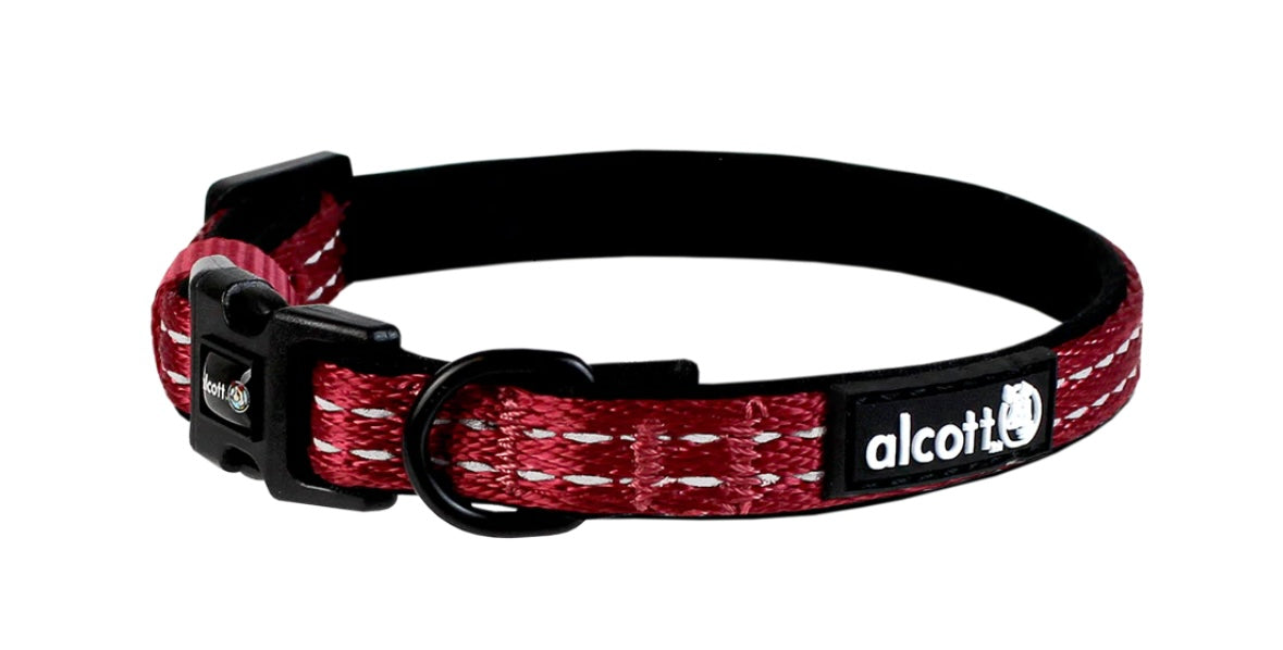 ALCOTT ADVENTURE COLLAR