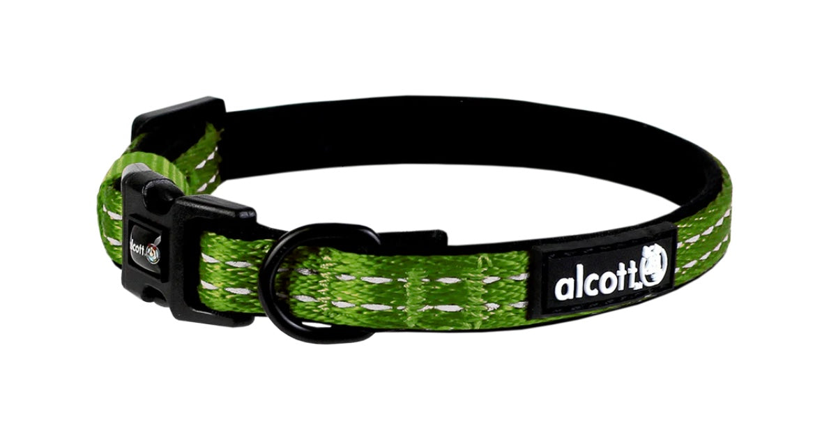 ALCOTT ADVENTURE COLLAR