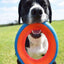Chuckit Fetch Wheel