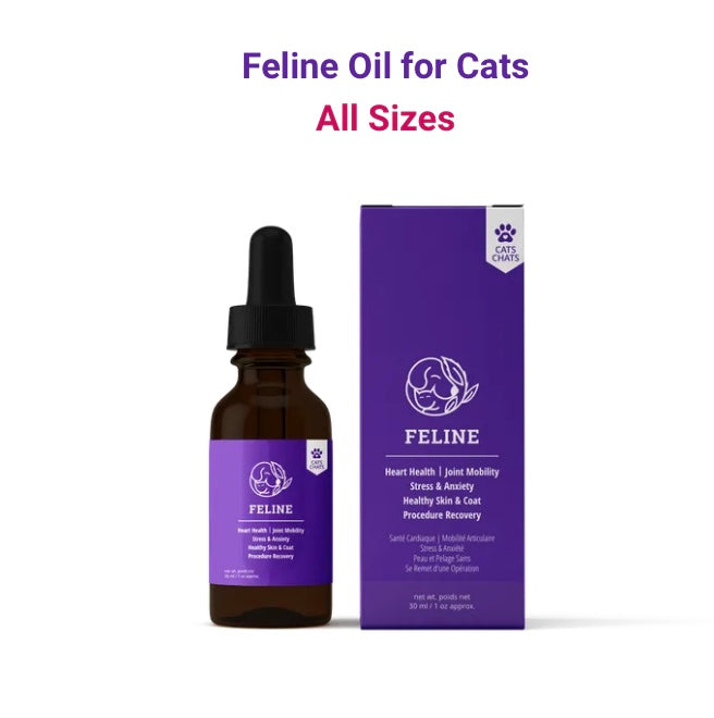 REELAX PET SCIENCES OILS (Feline)