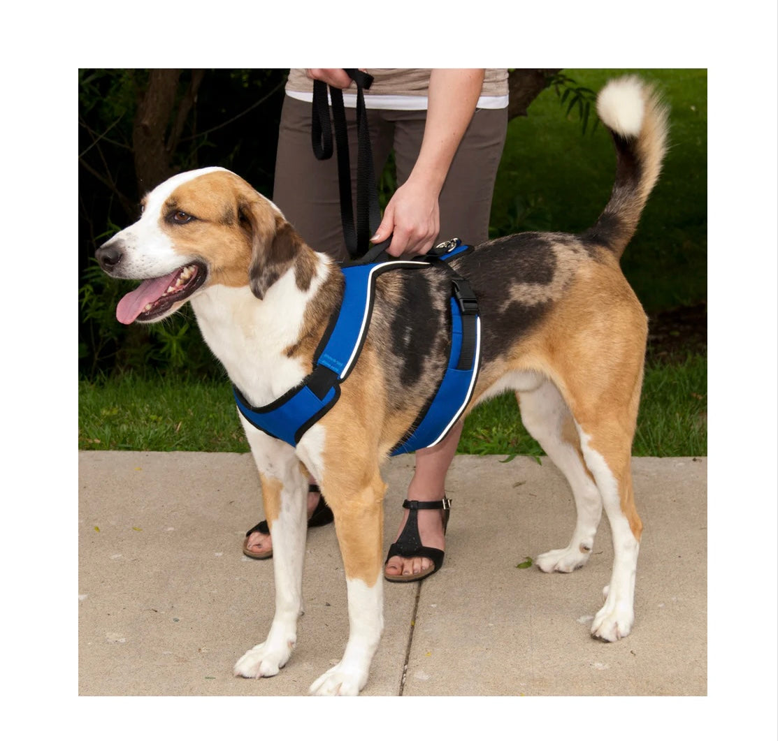 PETSAFE EASY SPORT HARNESS