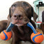 ChuckIt Ultra Duo Tug - Small