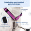 PETSAFE 3 IN 1 HARNESS (no leash included)