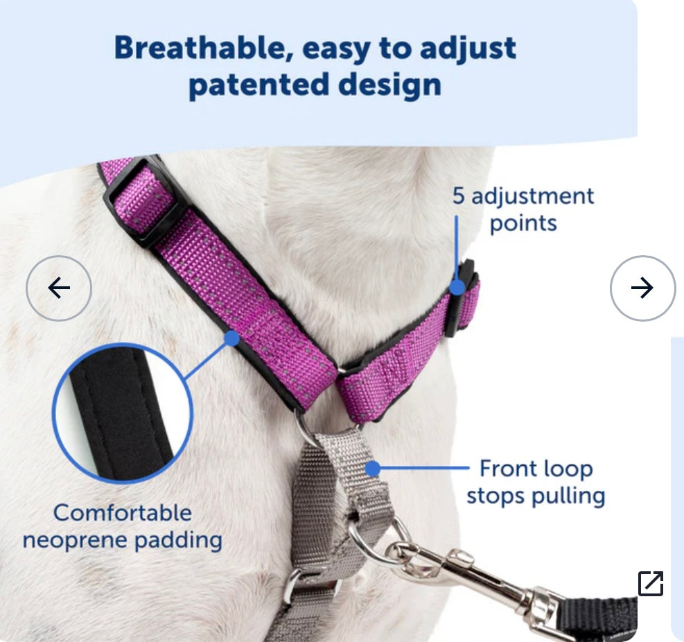 PETSAFE 3 IN 1 HARNESS (no leash included)